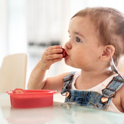 Developmental Checklist